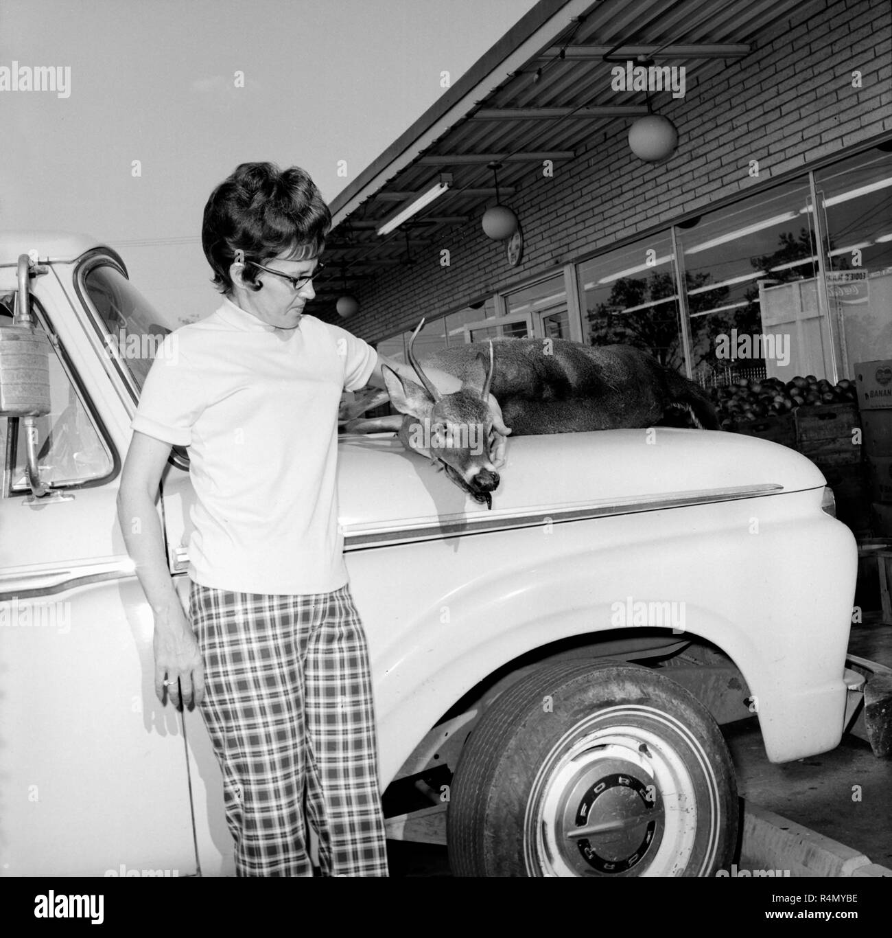 Une femme tient la tête d'un chevreuil mort buck sur le capot de sa camionnette, ca. 1967. Banque D'Images
