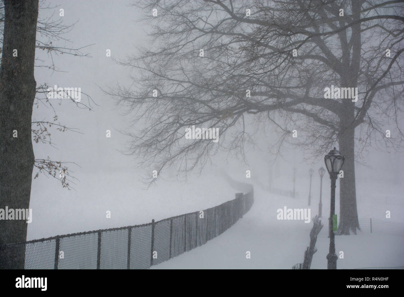 Central Park, New York City dans le blizzard du 23 janvier 2016 Banque D'Images