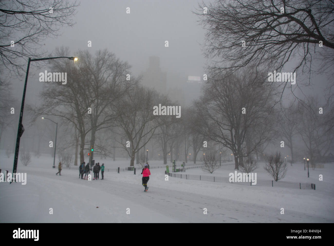 Central Park, New York City dans le blizzard du 23 janvier 2016 Banque D'Images