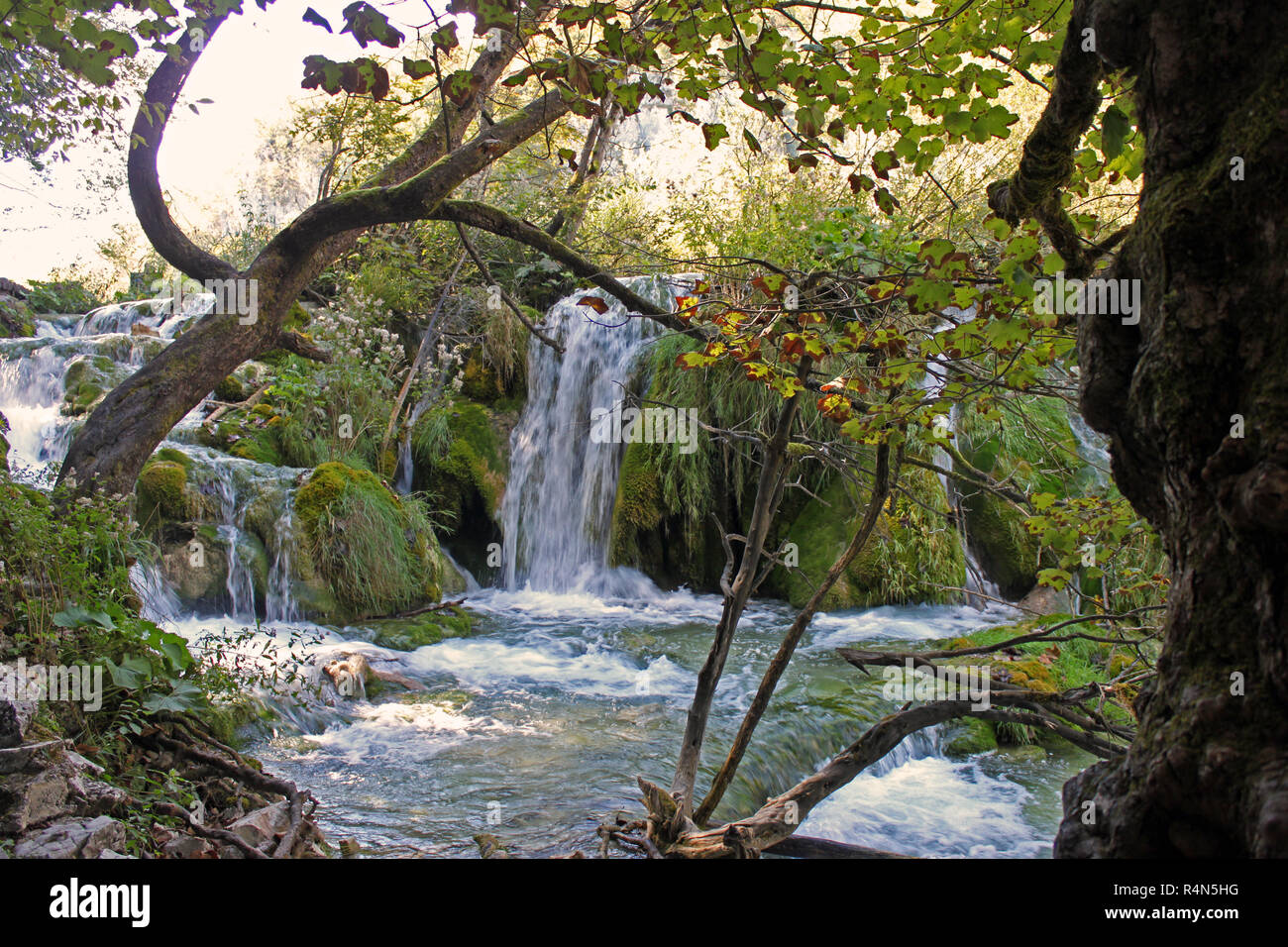 Cascades au parc national de Plitvice, Croatie Banque D'Images