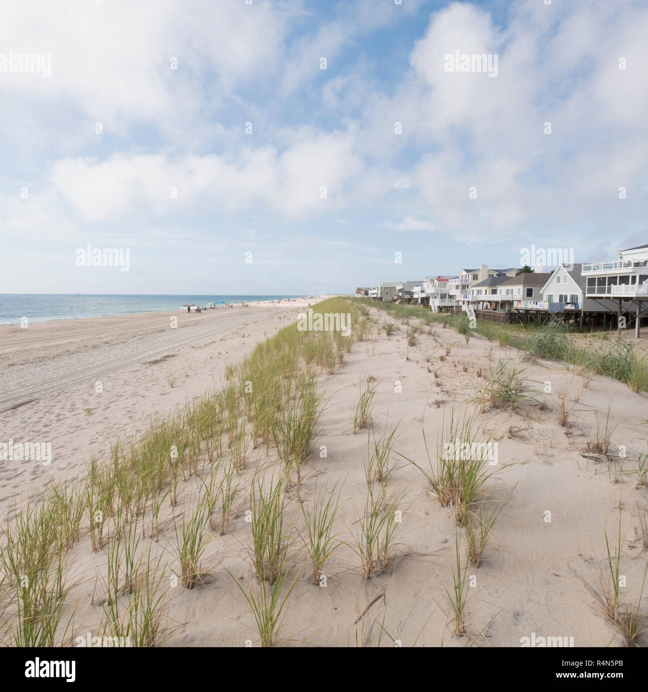 L'herbe sur la plage de dunes de sable à Béthanie au Delaware Banque D'Images
