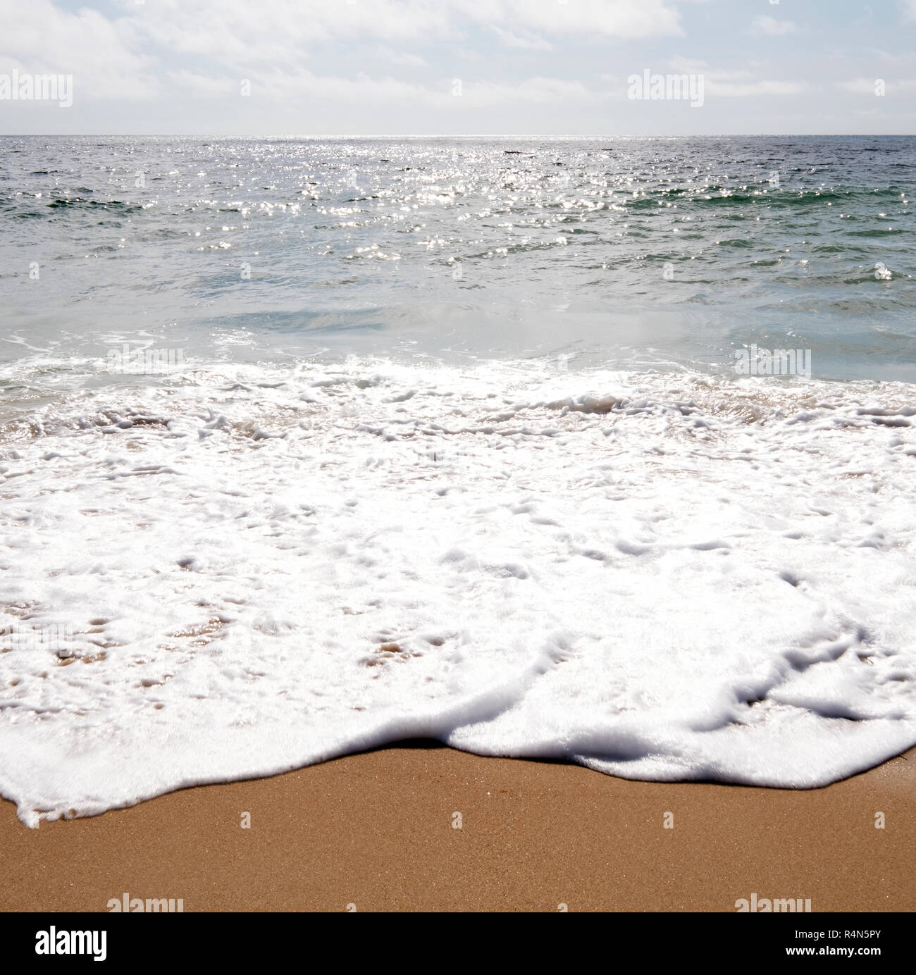 Vagues sur la plage Banque D'Images