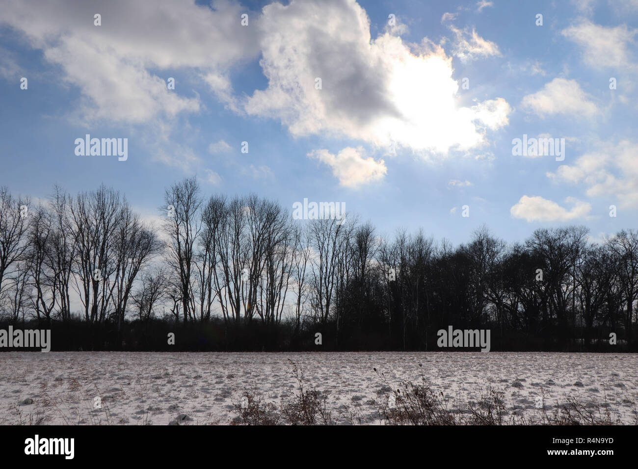 Paysage d'hiver. Banque D'Images