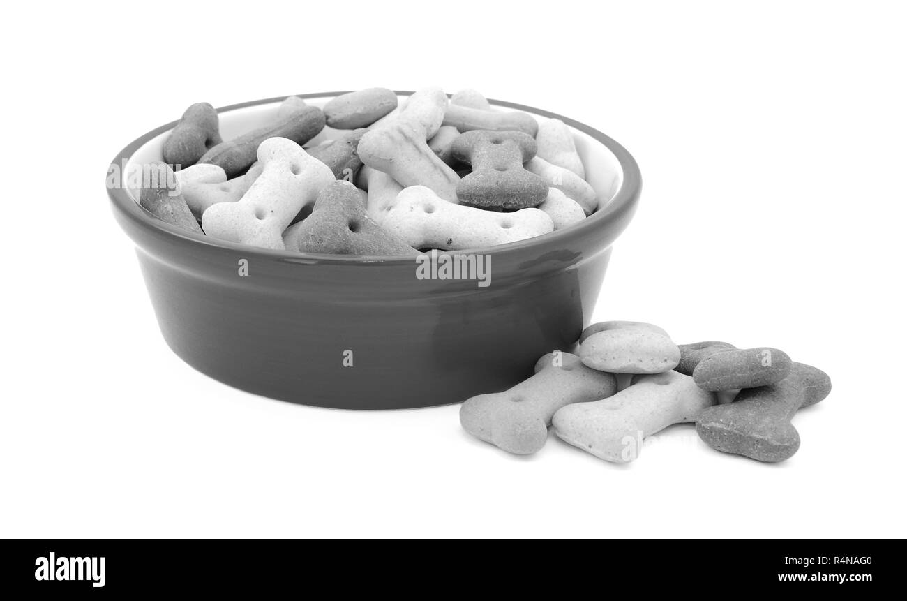 La nourriture sèche pour chiens dans un bol, des biscuits à côté renversé Banque D'Images