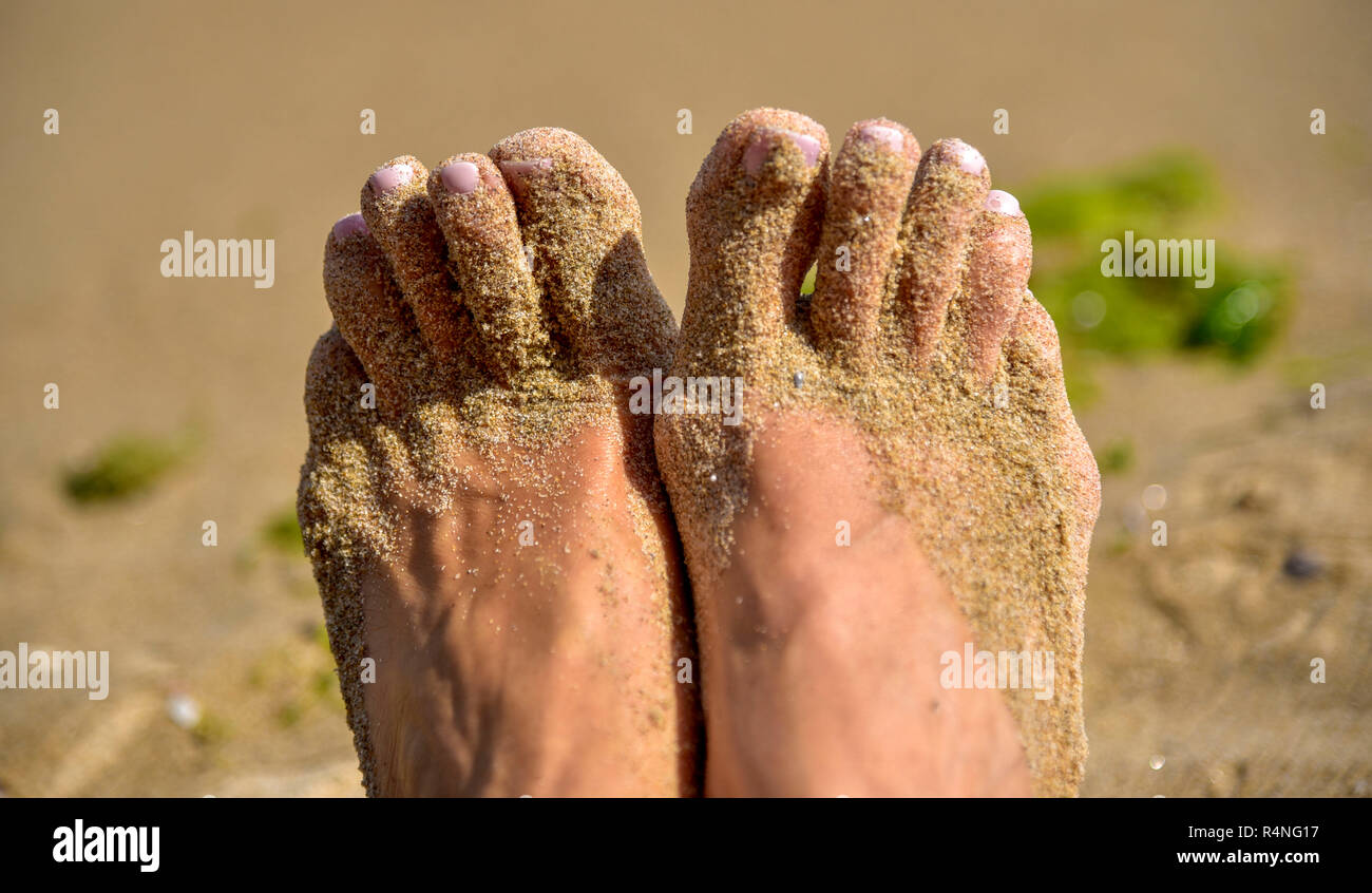 L'eau de mer et d'algues bleu vert tendre douceur lumineuse Banque D'Images