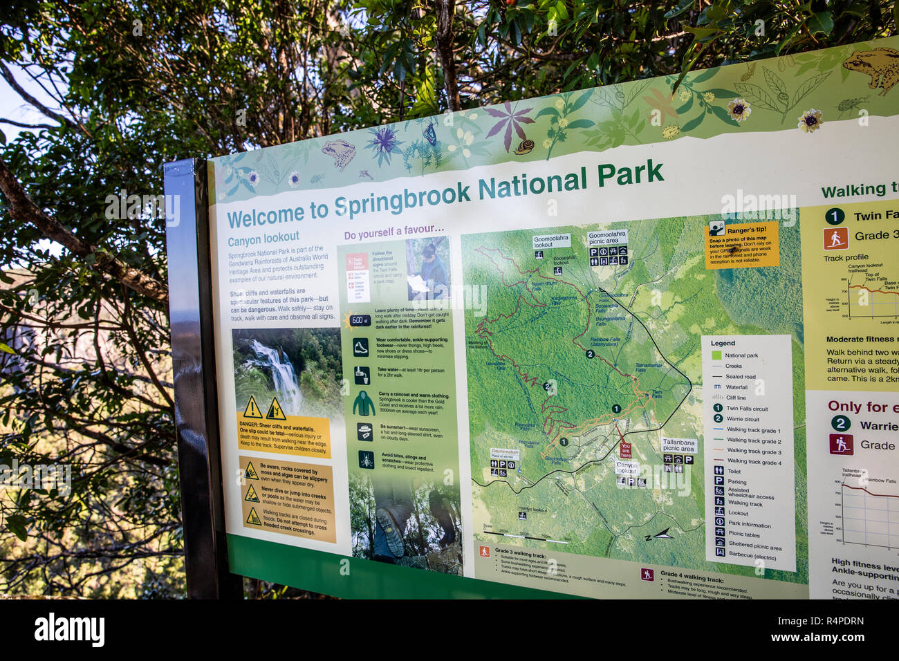Parc national de springbook route carte et promenades,Gold Coast hinterland, Australie Banque D'Images