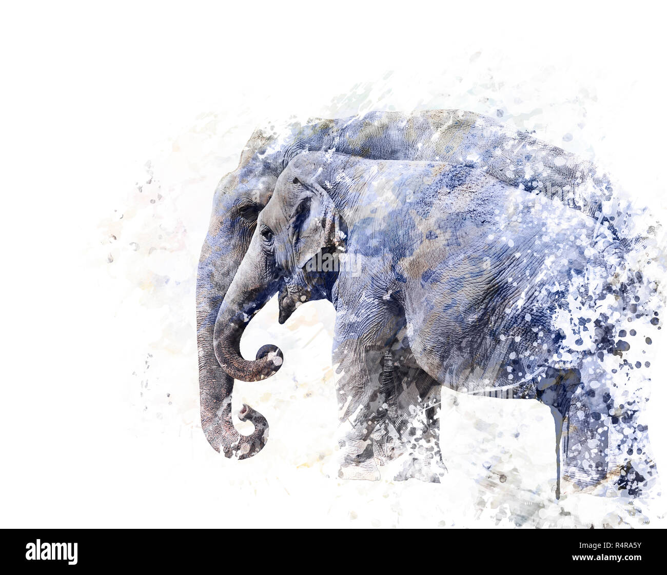 Deux éléphants aquarelle Banque D'Images