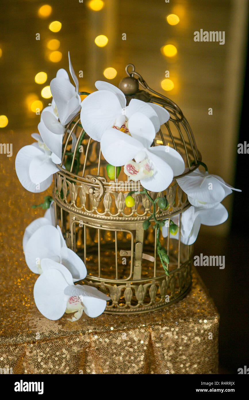 White Orchid sur une belle cage dorée. Feux de flou artistique guirlandes sur l'arrière-plan. Mariage ou un décor à la maison. Banque D'Images