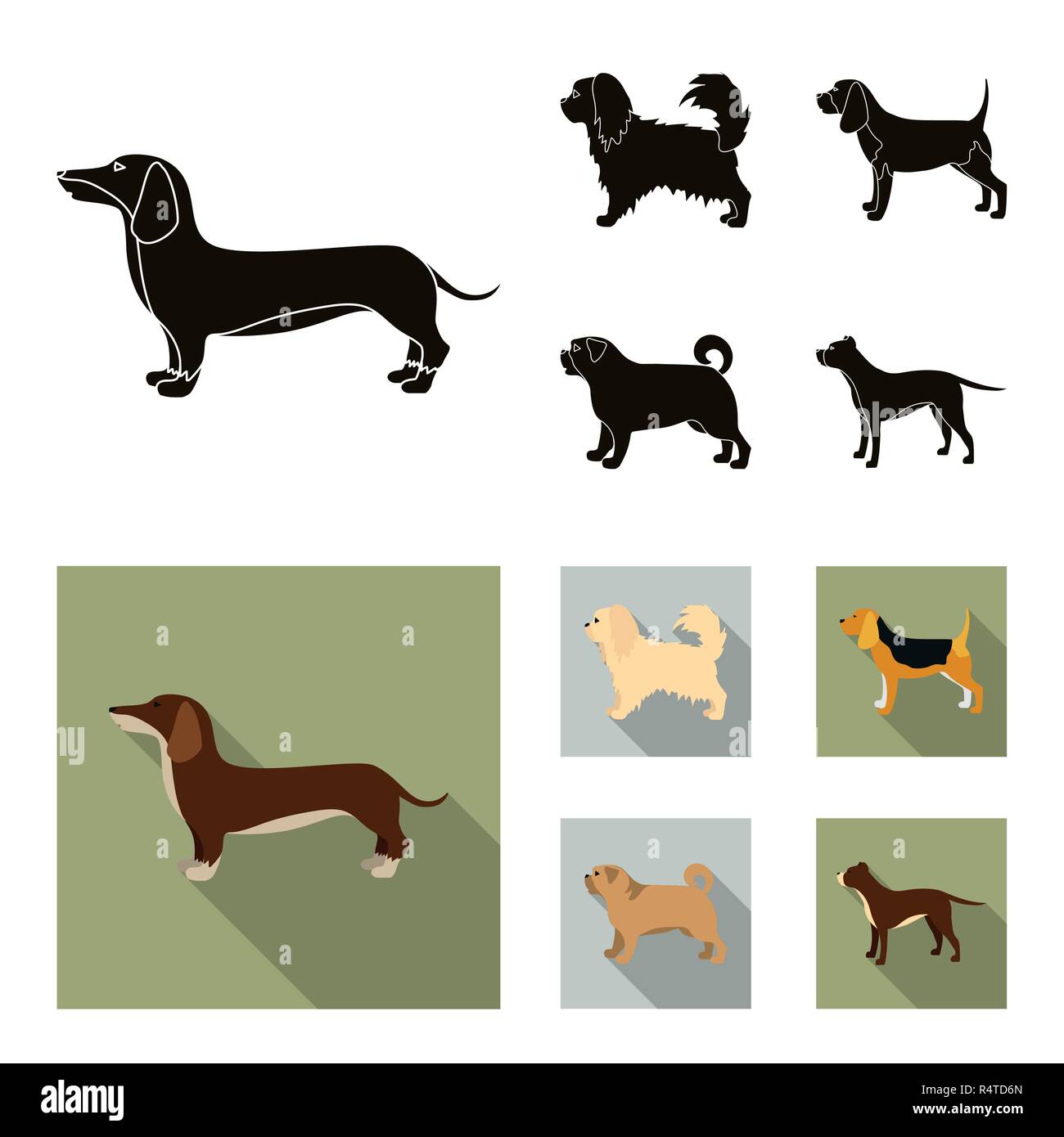 Pikinise Teckel Carlin Peggy Chiens De Races Set Icônes