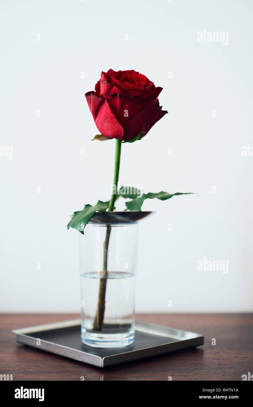 Une rose rouge dans un verre avec de l'eau sur un plateau Banque D'Images