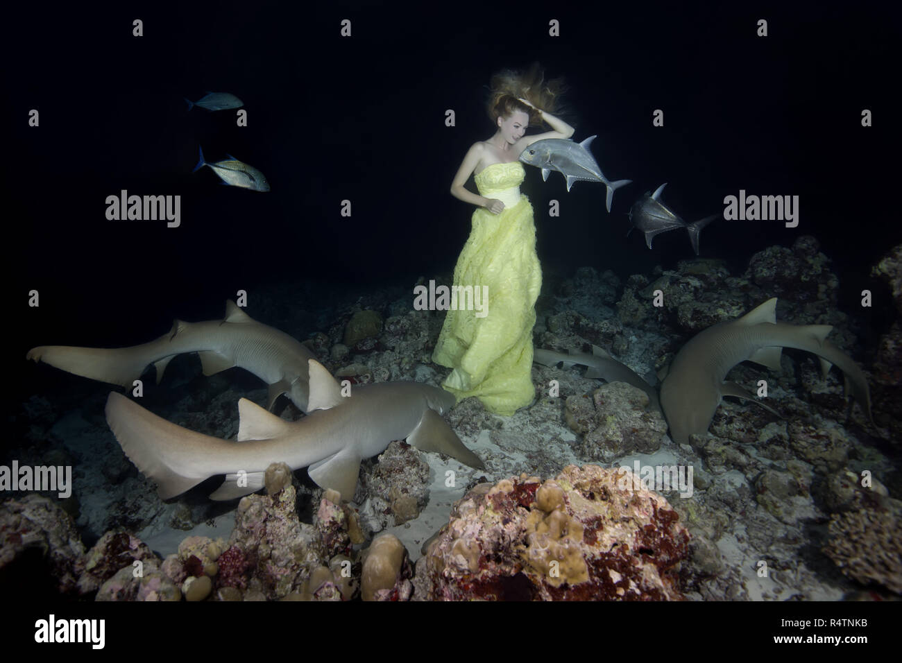 Belle femme en jaune dress posing sous l'eau avec requins nourrice fauve (Nebrius ferrugineus), tir de nuit, de l'Océan Indien Banque D'Images