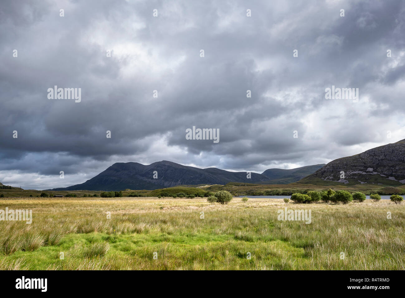 Vue sur la lande au Mont Arkle, dans les Highlands, Sutherland, Ecosse, Grande-Bretagne Banque D'Images