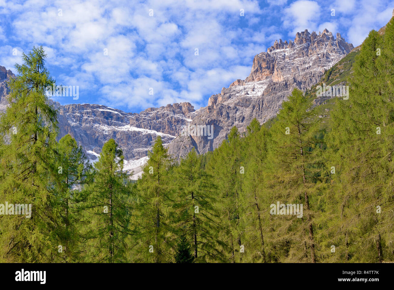 Vue depuis l'Fischleintal avec la forêt de mélèzes à l'Dreischusterspitze m, 3152, le Tyrol du Sud Dolomites de Sexten, Alto Adige Banque D'Images