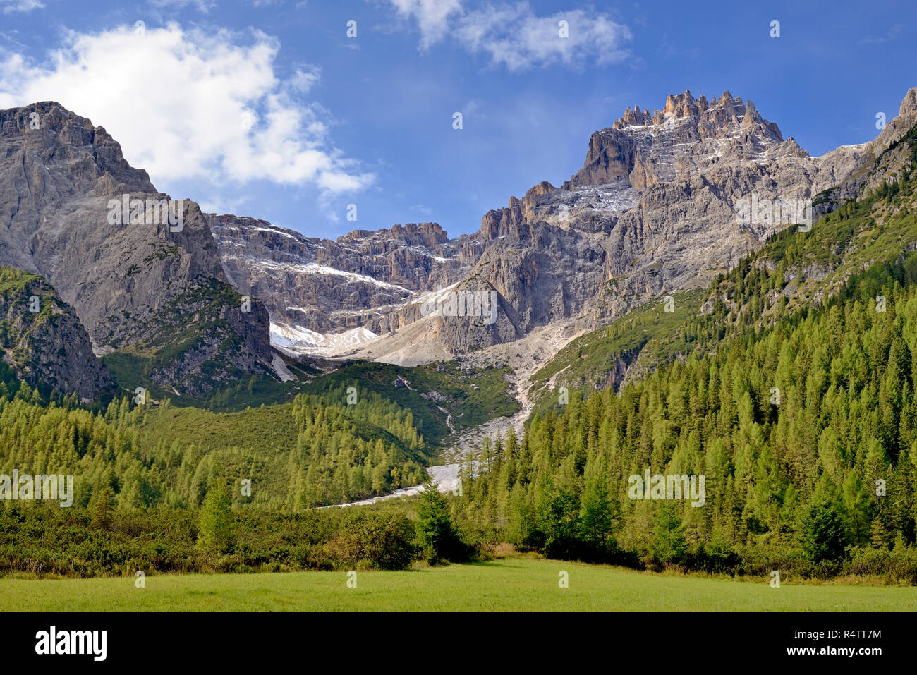 Vue depuis Fischleintal à forêt de mélèzes avec Dreischusterspitze m, 3152, le Tyrol du Sud Dolomites de Sexten, Alto Adige, Italie Banque D'Images