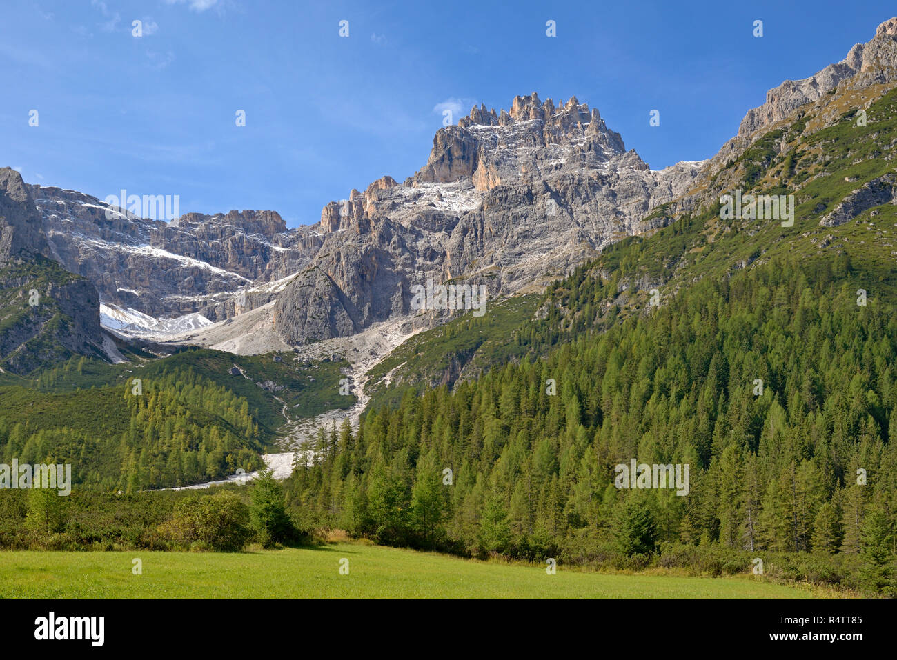 Vue depuis Fischleintal à forêt de mélèzes avec Dreischusterspitze m, 3152, le Tyrol du Sud Dolomites de Sexten, Alto Adige, Italie Banque D'Images