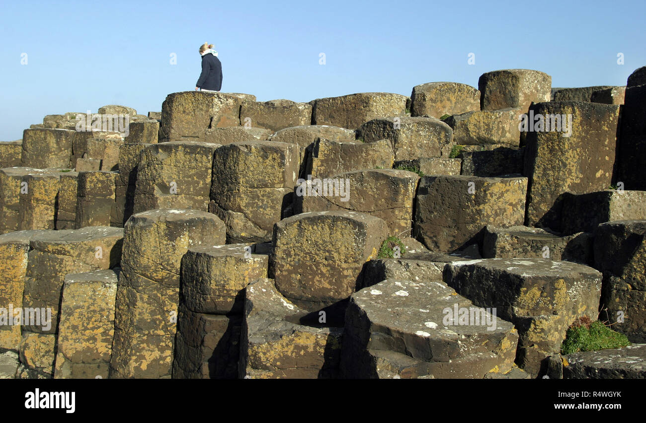 Ce n'est qu'une partie des 40 000 colonnes de basalte, enclenchement, qui composent la Chaussée des géants dans le comté d'Antrim, en Irlande du Nord. Cette magnifique structure géologique a été le résultat d'une énorme éruption volcanique, il y a de nombreuses années et est un UNESCO World Heritage site et est visité par des centaines de milliers de touristes et de visiteurs chaque année. Banque D'Images