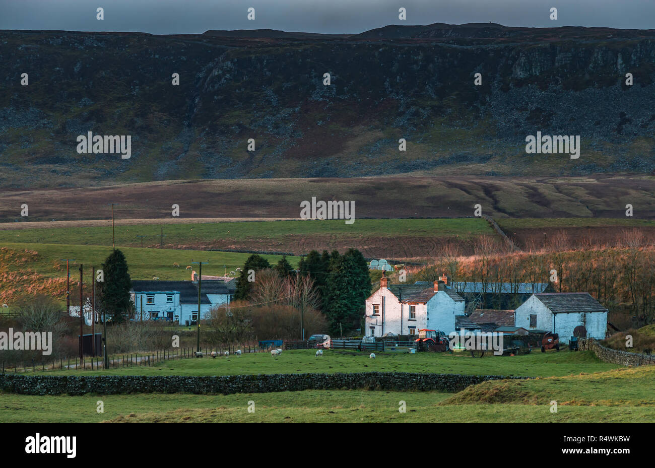 North Pennines AONB paysage, l'agriculture à distance hameau de Langdon Beck, Upper Teesdale, au Royaume-Uni au début de la lumière du soleil du matin et un fond de ciel sombre Banque D'Images