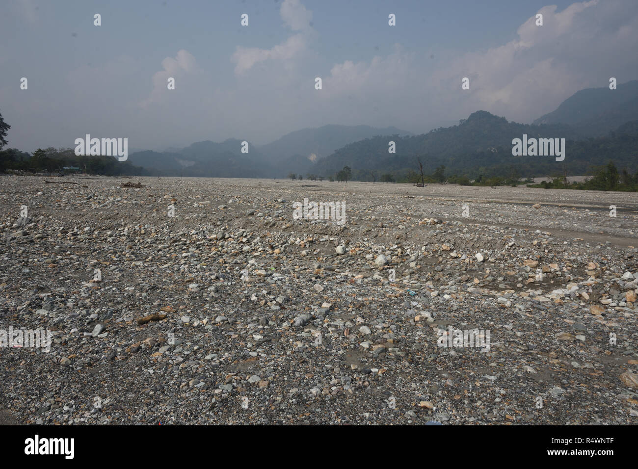 Jayanti rivière qui coule à travers la réserve de tigres de Buxa Buxa Parc National dans le district de New Jalpaiguri du Bengale Occidental, Inde Banque D'Images