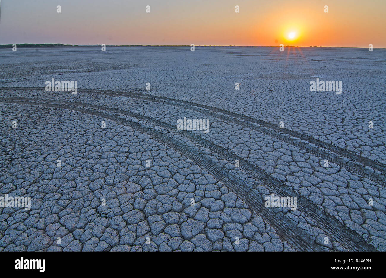 Coucher de soleil sur le Little Rann de Kutch, Gujarat, Inde Banque D'Images