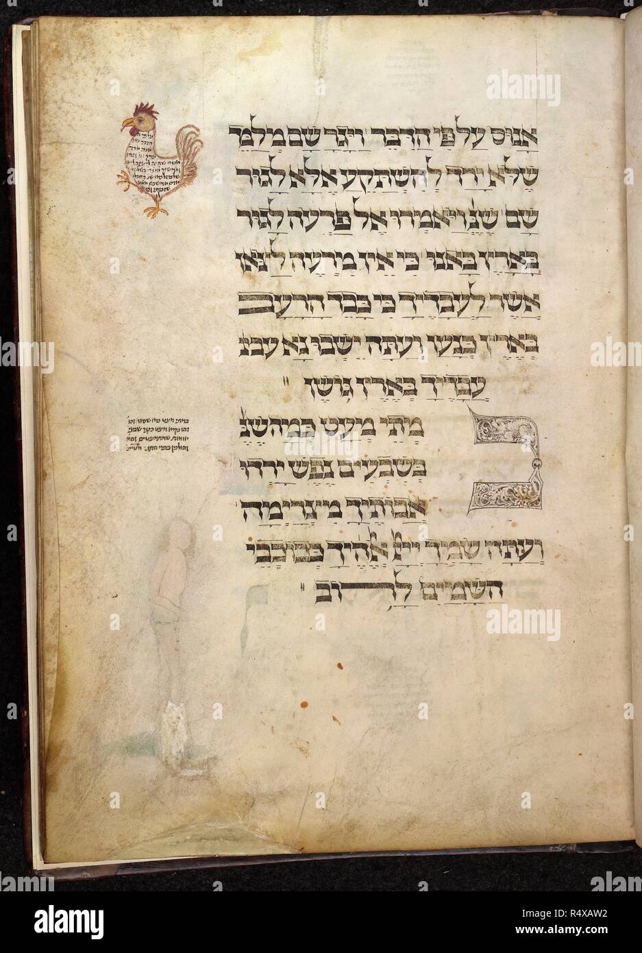 Coq et texte. Le Haggadah Ashkénaze (Feibusch Haggada). L'Allemagne du Sud, c.1460-1475. Ensemble folio. Texte et image marginale d'un coquelet. À partir de la Haggadah ashkénaze. Le vélin manuscrit. Image prise à partir de la Haggadah Ashkénaze (Feibusch Haggada). Publié à l'origine/produit en Allemagne du Sud, c.1460-1475. . Source : ajouter. 14762, f.12. Langue : Hébreu. Auteur : Feibusch, Joel ben Simeon. Banque D'Images