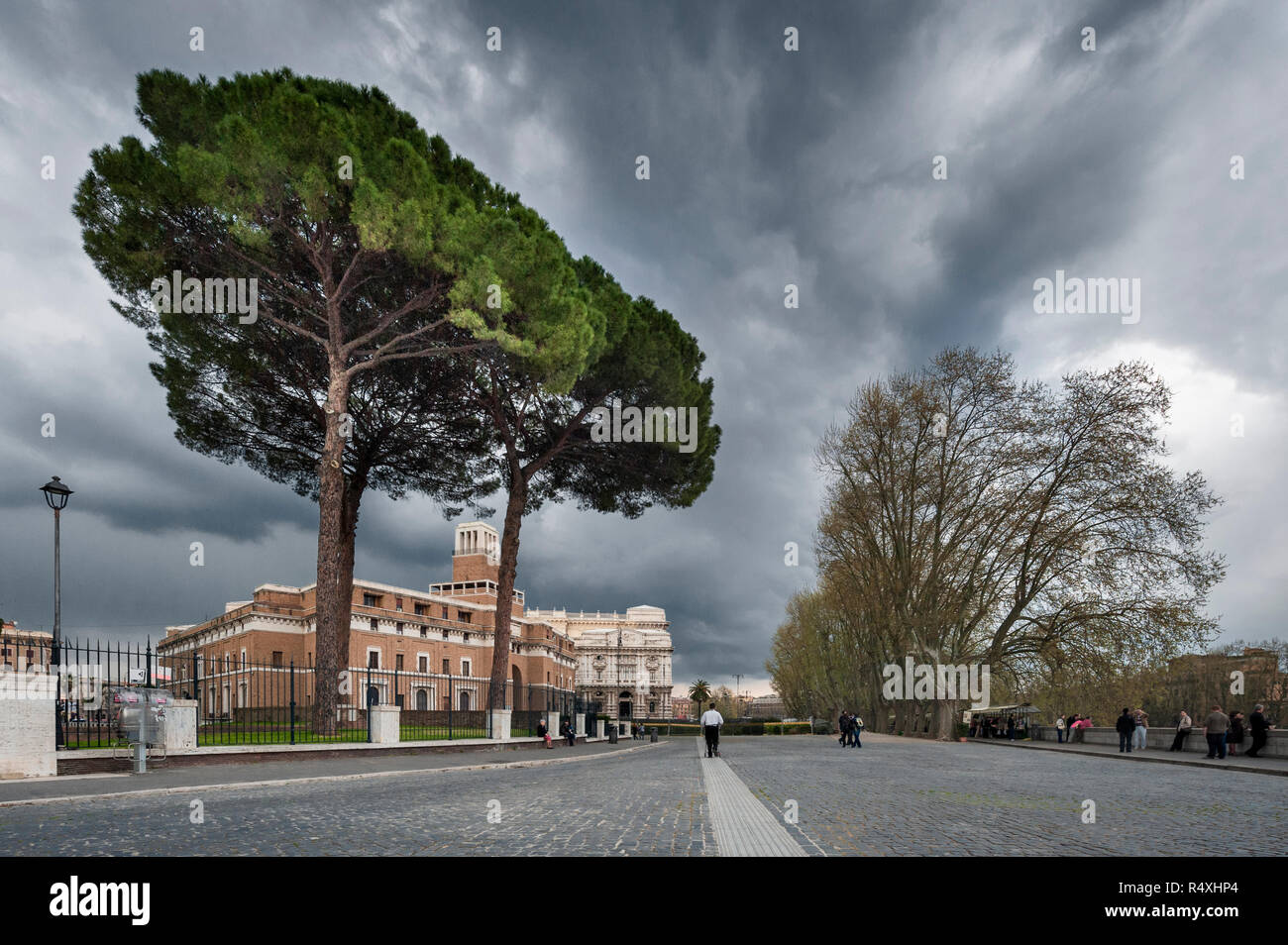 Arbres de pin Pinus pinea contre un ciel orageux sur Romain Lungotevere Castello menant à Cassa mutua Nazionale et le Palais de Justice, Rome Banque D'Images