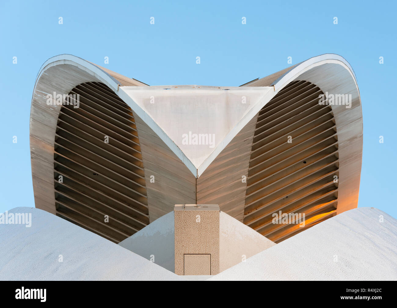 Détail de l'architecture de toit de Palau de les Arts Reina Sofia (Palais des Arts) de la Cité des Arts et des Sciences de Valence Banque D'Images