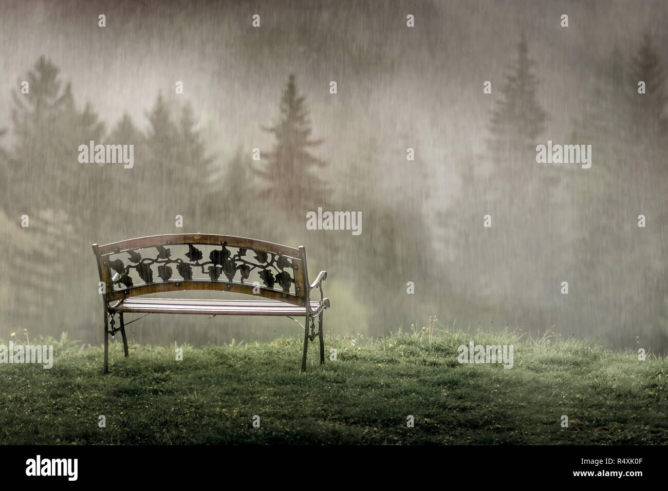 La Solitude Solitude Tristesse Nostalgie Banc Dans La Pluie Dans Les Montagnes Photo Stock Alamy La Solitude Solitude Tristesse Nostalgie Banc Dans La Pluie Dans Les Montagnes Photo Stock Alamy