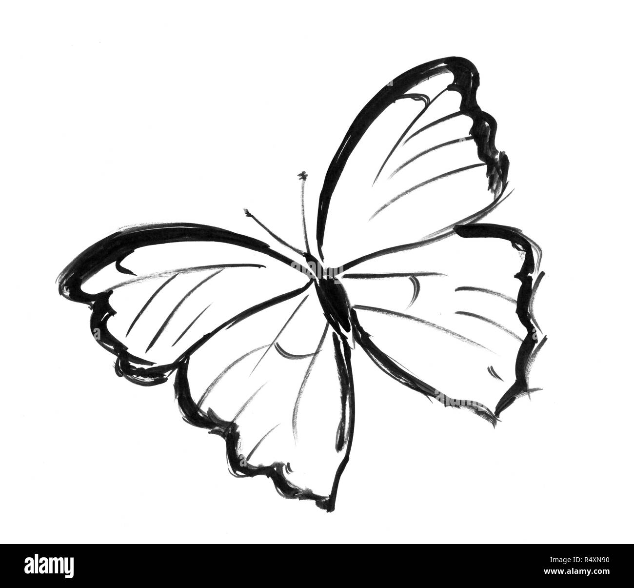 Dessin à la main d'encre noire de Butterfly Banque D'Images