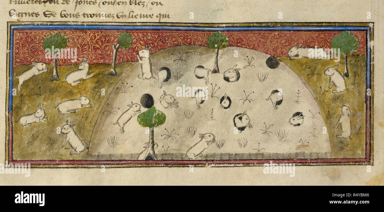Une garenne. Livre de chace que fist le conte. composée à l'A.D. 1382. Début du Xvème s. Source : ajouter. 27699 f.16 (DET). Langue : Français. Auteur : Foix, Gaston PhÃ¨bus, Comte de. Banque D'Images