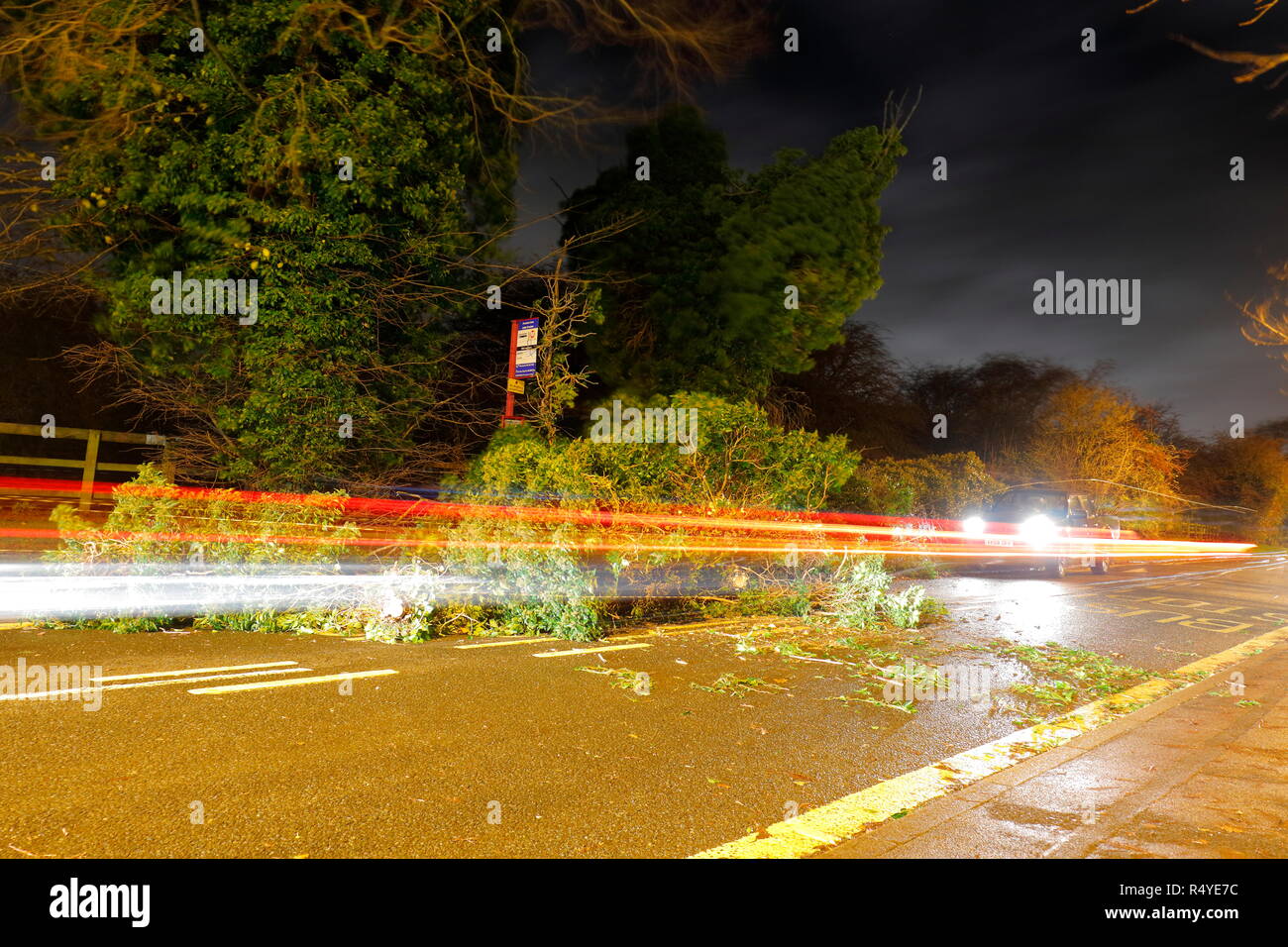 Leeds, West Yorkshire, Royaume-Uni. 28 novembre 2018. Météo France : Les vents de tempête Diana renverse arbre. Un arbre tombé a atterri et bloqué une route très fréquentée en grande Preston, entre Leeds et à Castleford. Les équipes de maintenance ont rapidement sur la scène sur Leeds Road et une voie a été ouverte sous la supervision d'un agent de police alors que le reste de l'arbre a été enlevé. Credit : Yorkshire Pics/Alamy Live News Banque D'Images