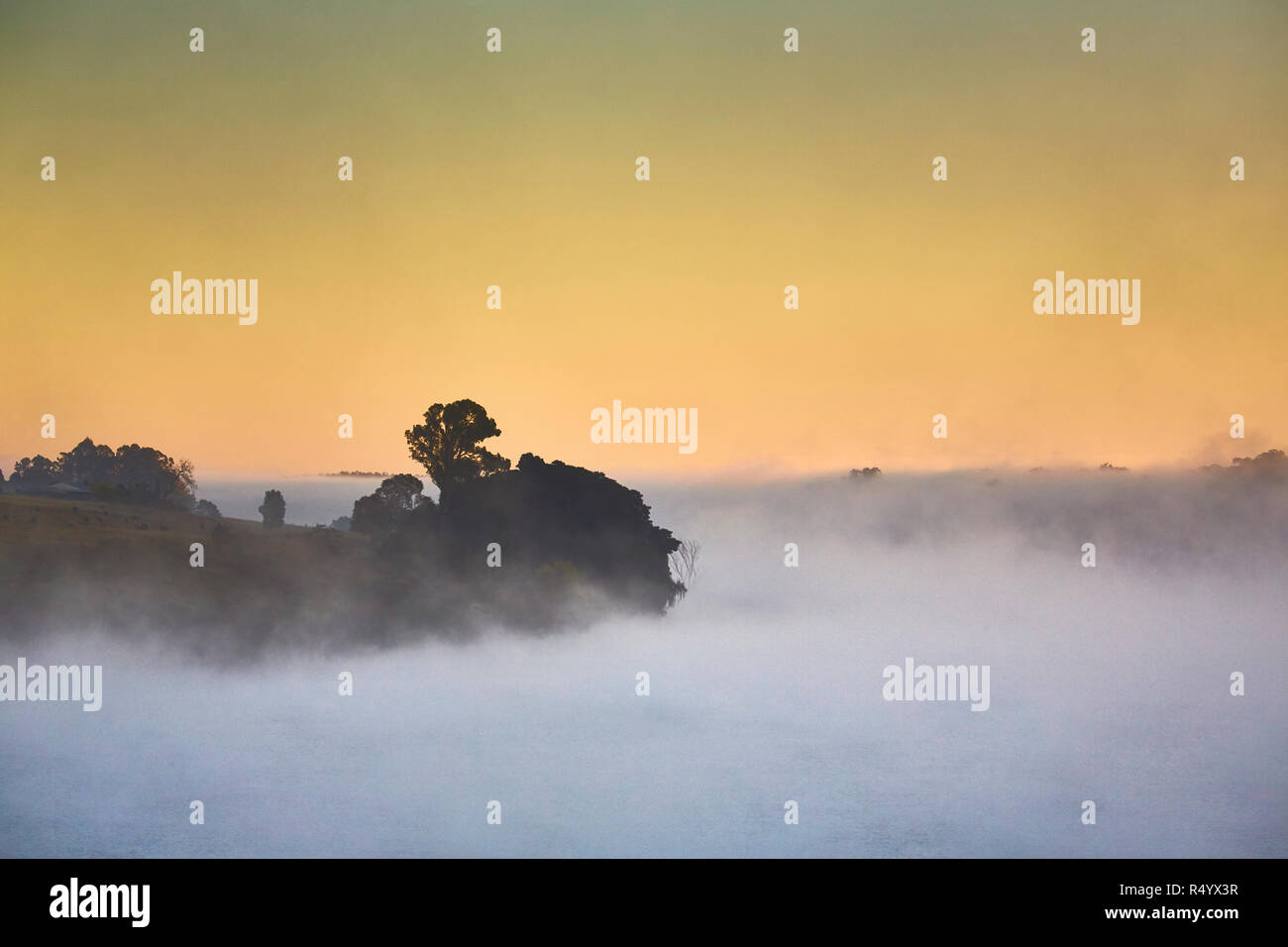 Un printemps lever du soleil avec la brume matinale qui couvre plus de la rivière Clarence d'arbres juste visible près de Seelands, New South Wales, Australie Banque D'Images