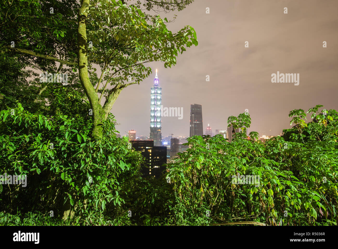 Nuit,voir,de,la tour Taipei 101,101,Tour,bâtiment,gratte-ciel,d'Elephant Mountain,Taiwan,Taipei chinois,Chine,,République de Chine,RDC,Asia,Asiatique, Banque D'Images