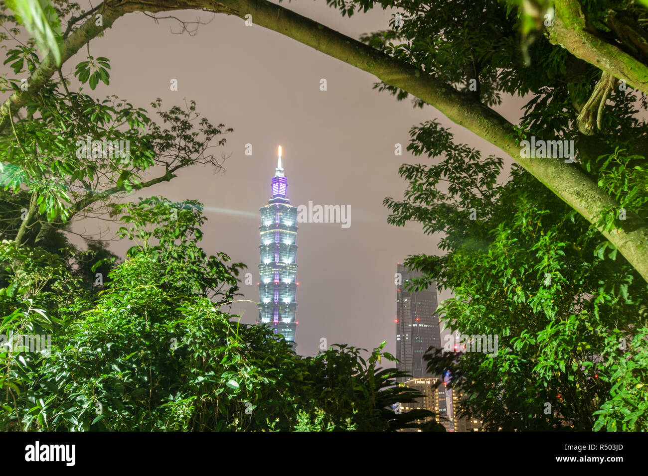 Nuit,voir,de,la tour Taipei 101,101,Tour,bâtiment,gratte-ciel,d'Elephant Mountain,Taiwan,Taipei chinois,Chine,,République de Chine,RDC,Asia,Asiatique, Banque D'Images
