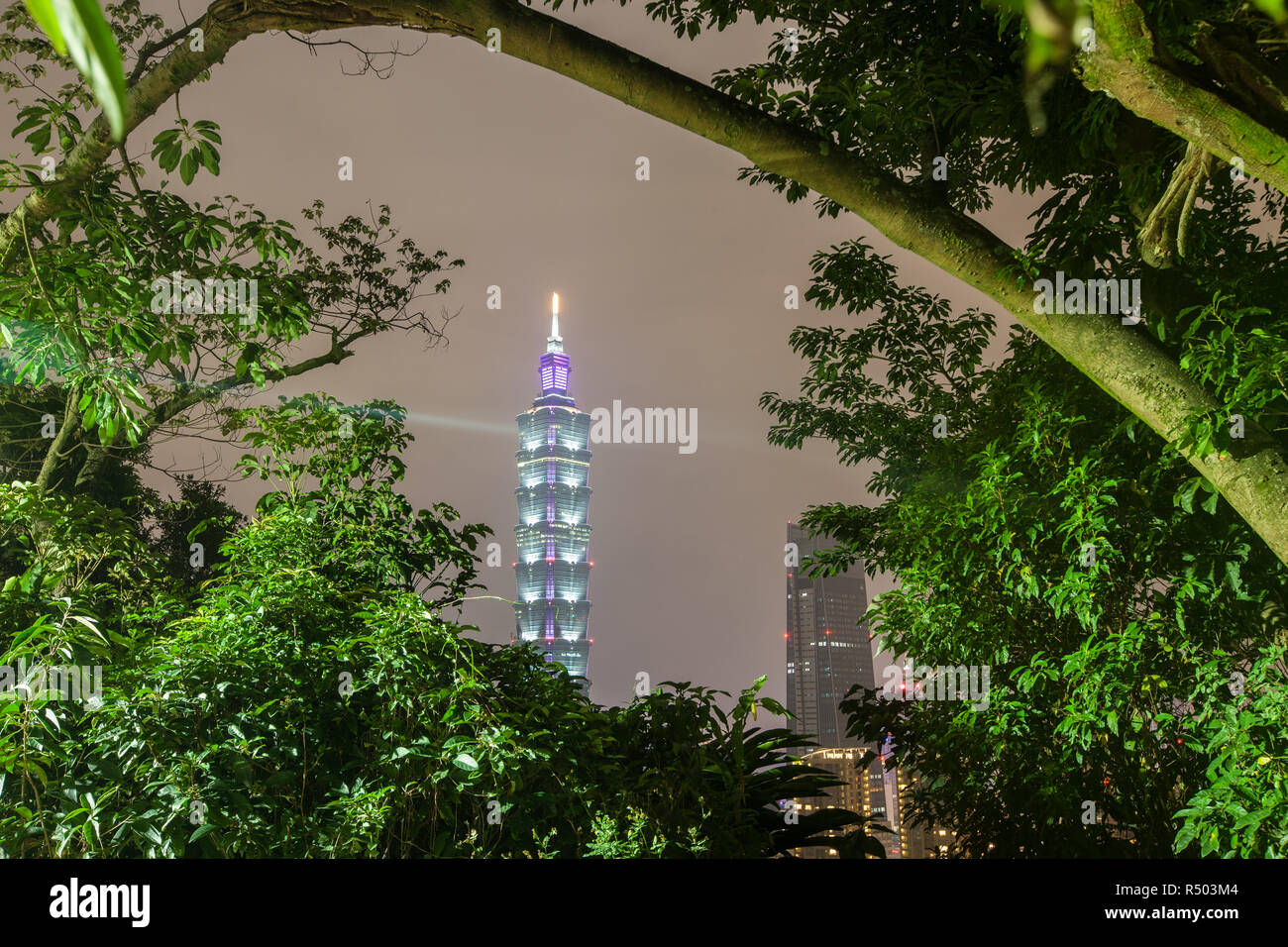 Nuit,voir,de,la tour Taipei 101,101,Tour,bâtiment,gratte-ciel,d'Elephant Mountain,Taiwan,Taipei chinois,Chine,,République de Chine,RDC,Asia,Asiatique, Banque D'Images
