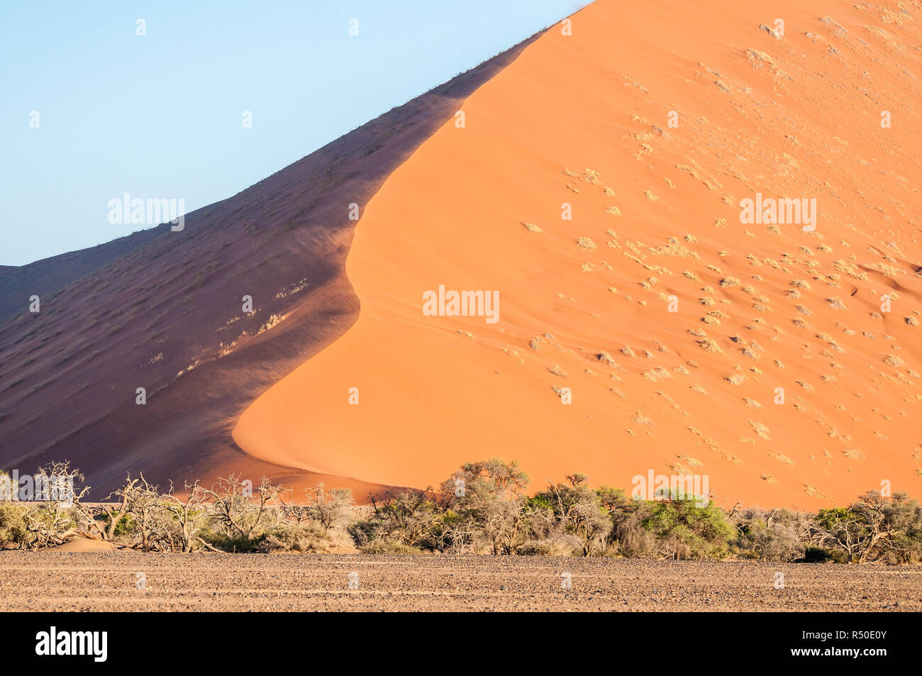 Les dunes de sable du namib à partir de la route de Sossusvlei, Namibie Banque D'Images