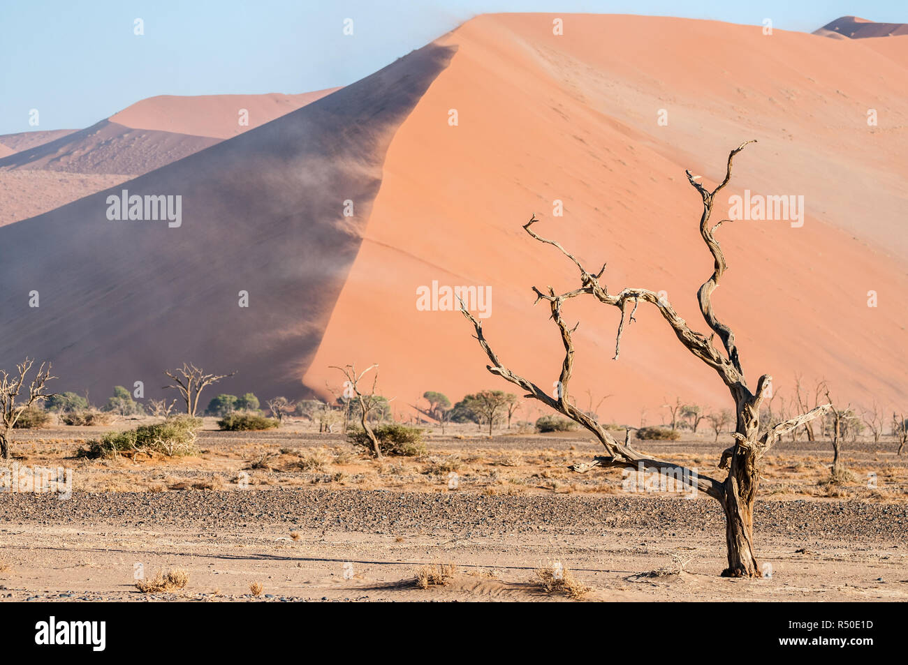 Les dunes du Namib à partir de la route de Sossusvlei, Namibie Banque D'Images