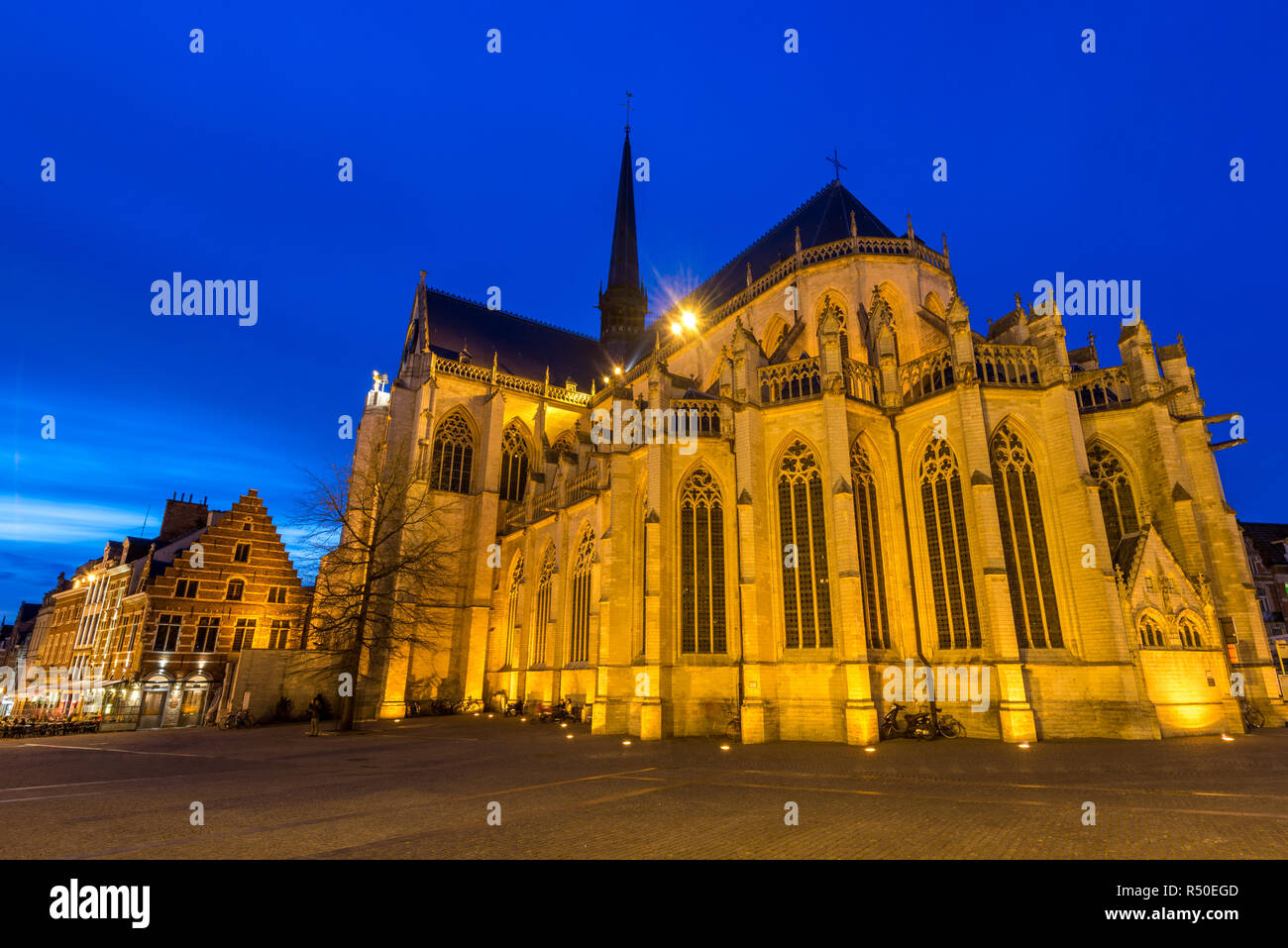 La cité médiévale Eglise Saint-Pierre à Louvain, Belgique, au cours de la soirée blue hour Banque D'Images