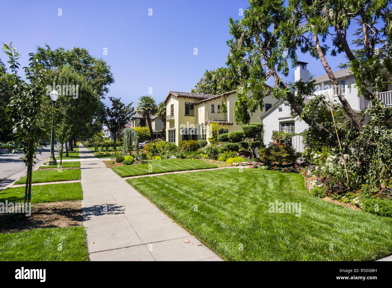 Paysage dans le jardin de roses quartier résidentiel de San Jose, au sud de la baie de San Francisco, Californie Banque D'Images