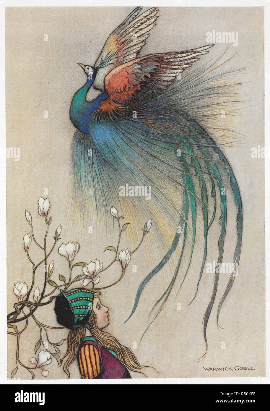 En Dehors De Lincendie A Volé Un Bel Oiseau Qui En
