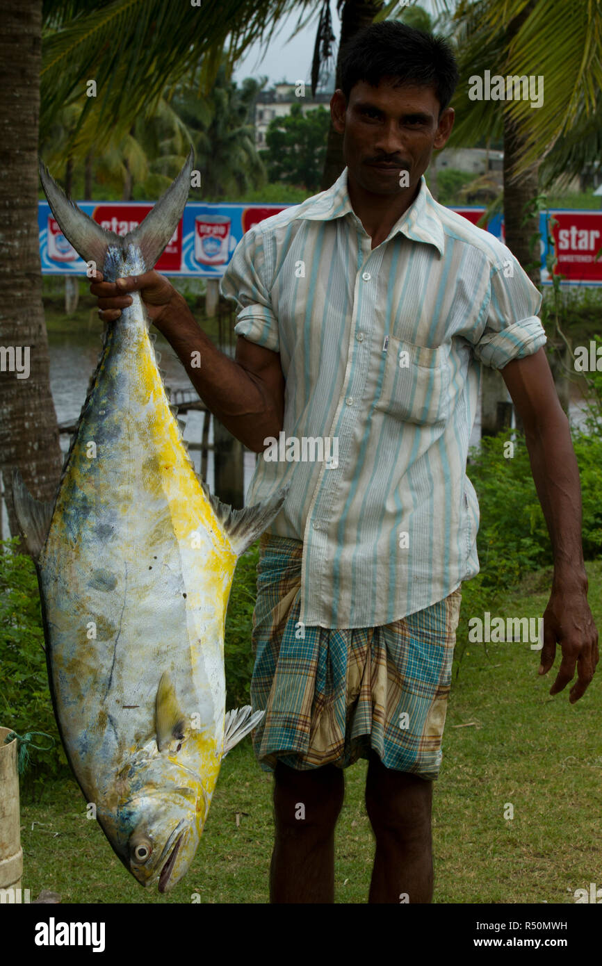 Un homme détient un big size Surma poisson. Cox's Bazar (Bangladesh). Banque D'Images