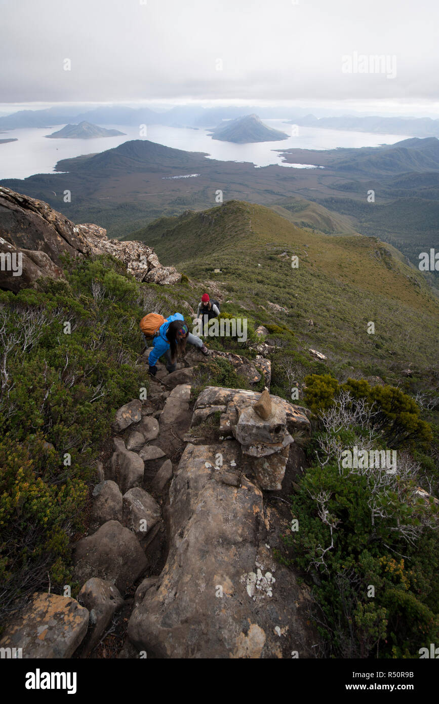 Pour grimper au sommet du Mt Anne, Tasmanie, Australie Banque D'Images