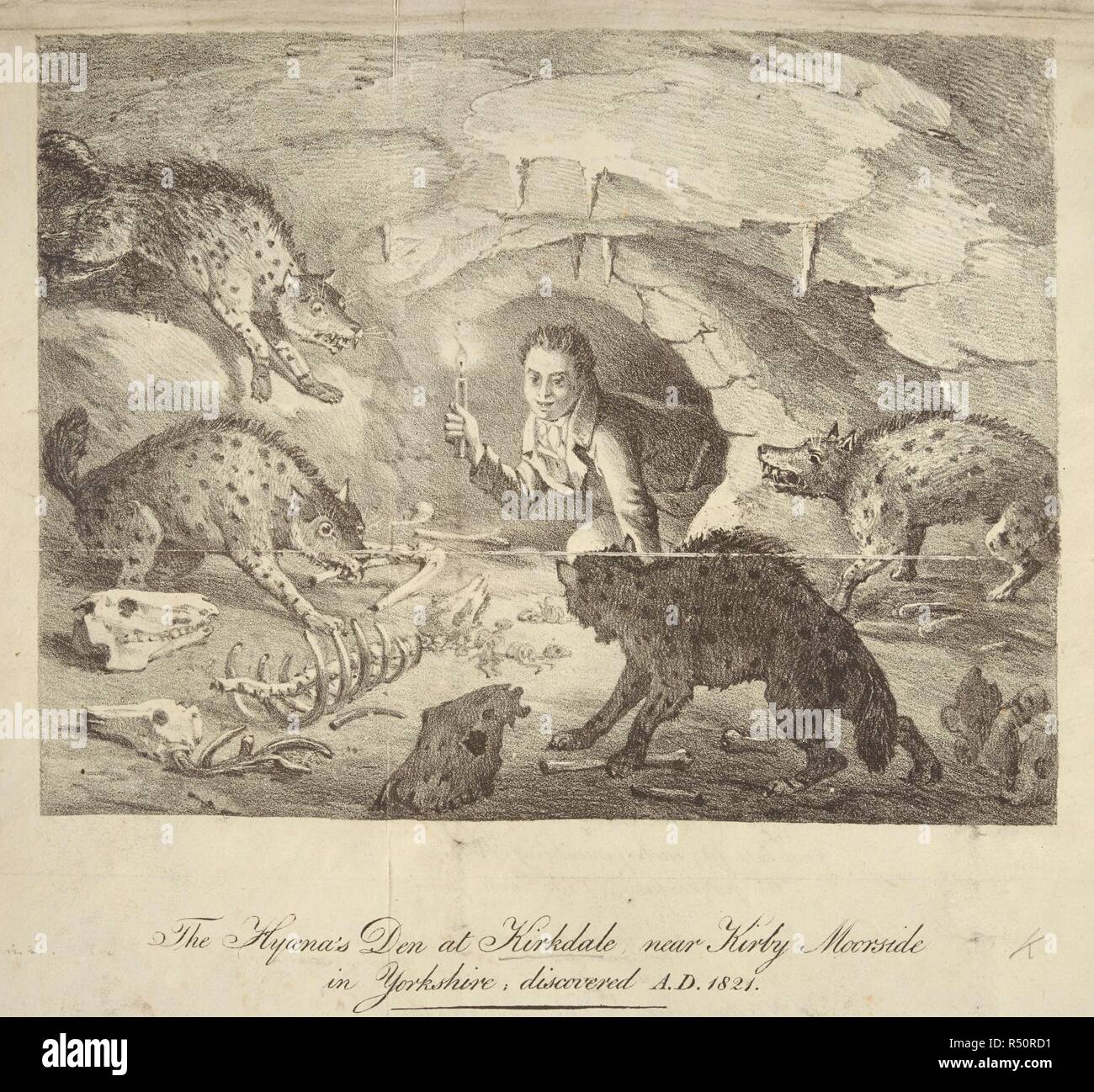 Une lithographie dessin montrant une personne qui entre dans une hyène's Den. Kirkdale grotte est situé dans une grotte près de Kirkdale Kirkbymoorside, dans la vallée de Pickering, North Yorkshire, Angleterre. La grotte a été découverte par des ouvriers en 1821, et contient de l'os fossilisés d'une variété de mammifères actuellement pas trouvés en Grande-Bretagne, . La Hyène's Den à Kirkdale, près de Kirby Moorside, dans le Yorkshire, découvert A.D. 1821 [par W. Buckland. Versets sur le sujet par W. D. Conybeare, avec une lithographie dessin, et d'un MS. lettre du Dr Buckland à l'Archidiacre Wrangham]. [Londres, 1822]. ? Source : 1254.k.1.(1). Un Banque D'Images