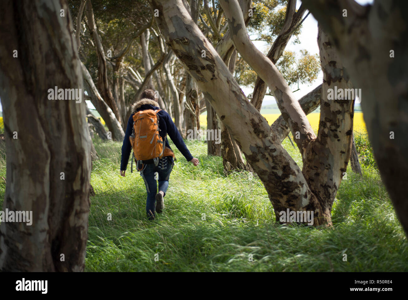 Backpacker femelle errant autour la forêt Banque D'Images