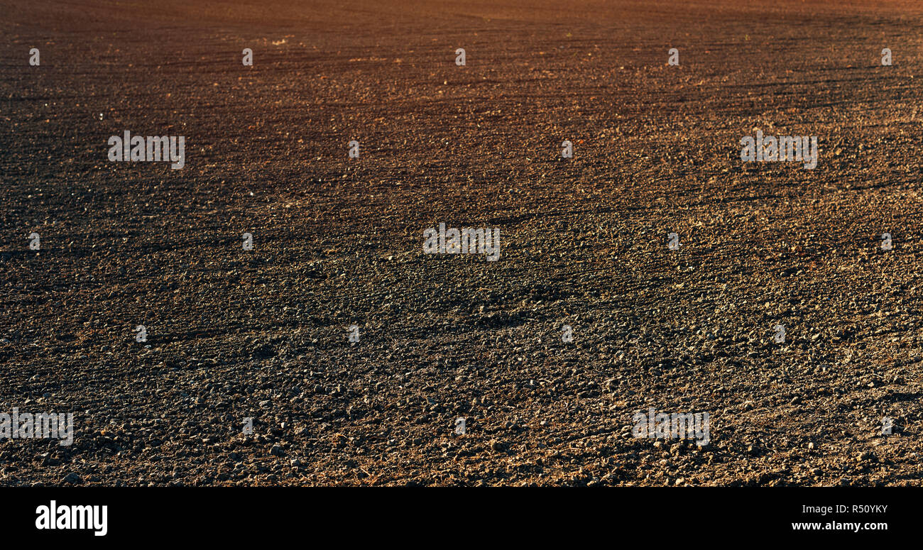 Terrain labouré le sol arable ou fond texture naturelle dans la perspective décroissante Banque D'Images