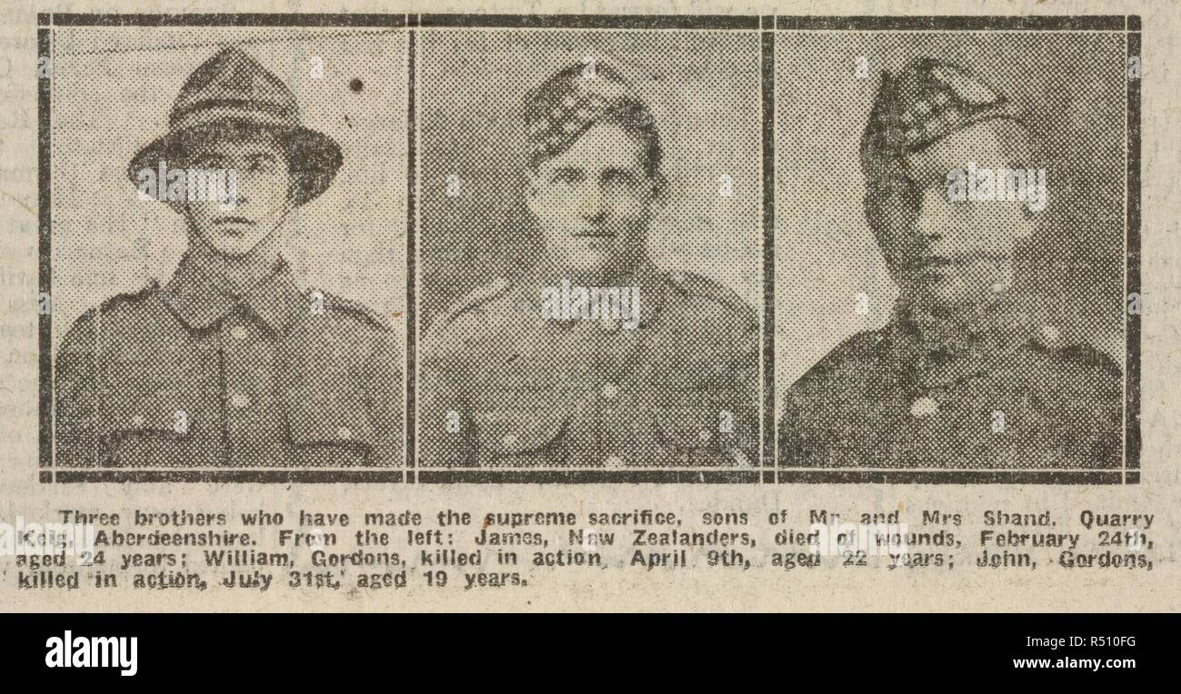 Trois frères qui ont fait le sacrifice suprême, fils de M. et Mme Shand. Keig carrière, dans l'Aberdeenshire. À partir de la gauche : James, les Néo-Zélandais (régiment), sont morts de blessures, février, 24th, 24 ans ; William, Gordons, tué en action ; le 9 avril, à l'âge de 22 ans ; Jean, Gordons, tué en action, à l'âge de 19 ans. Les peuples journal. Le 01/09/1917. Des photographies de trois soldats tués durant la première guerre mondiale. Source : les peuples journal, page 8 détail. Langue : Anglais. Banque D'Images