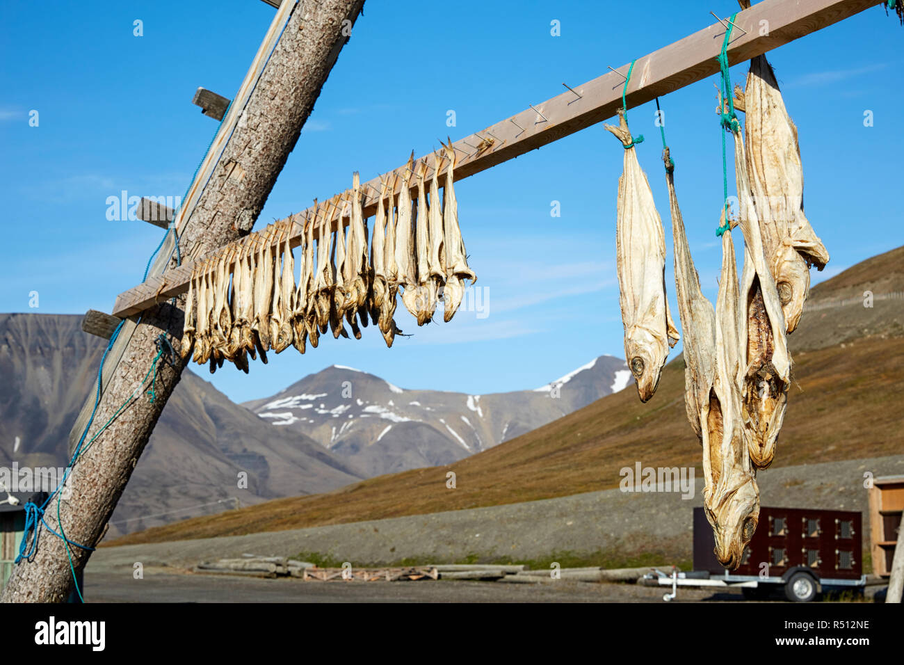Le séchage du poisson, Longyearbyen, Monte Carlo, Banque D'Images