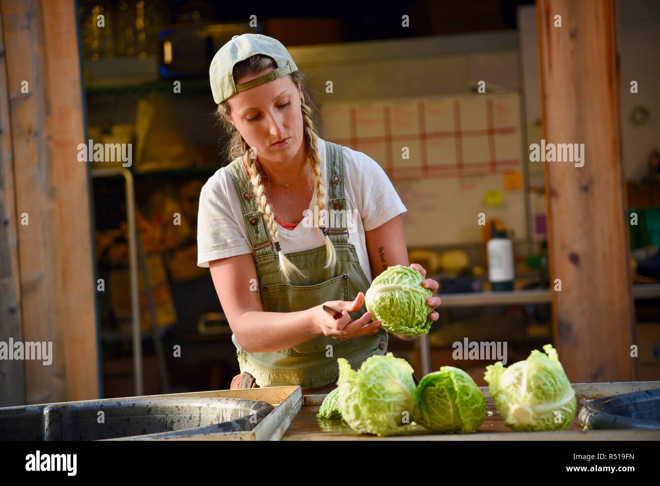 Attrayant, jeune agricultrice, blond & tresses hat, lave-chou organique pour la vente du marché, à l'avant porche ferme, Healdsburg, Californie, USA. Banque D'Images