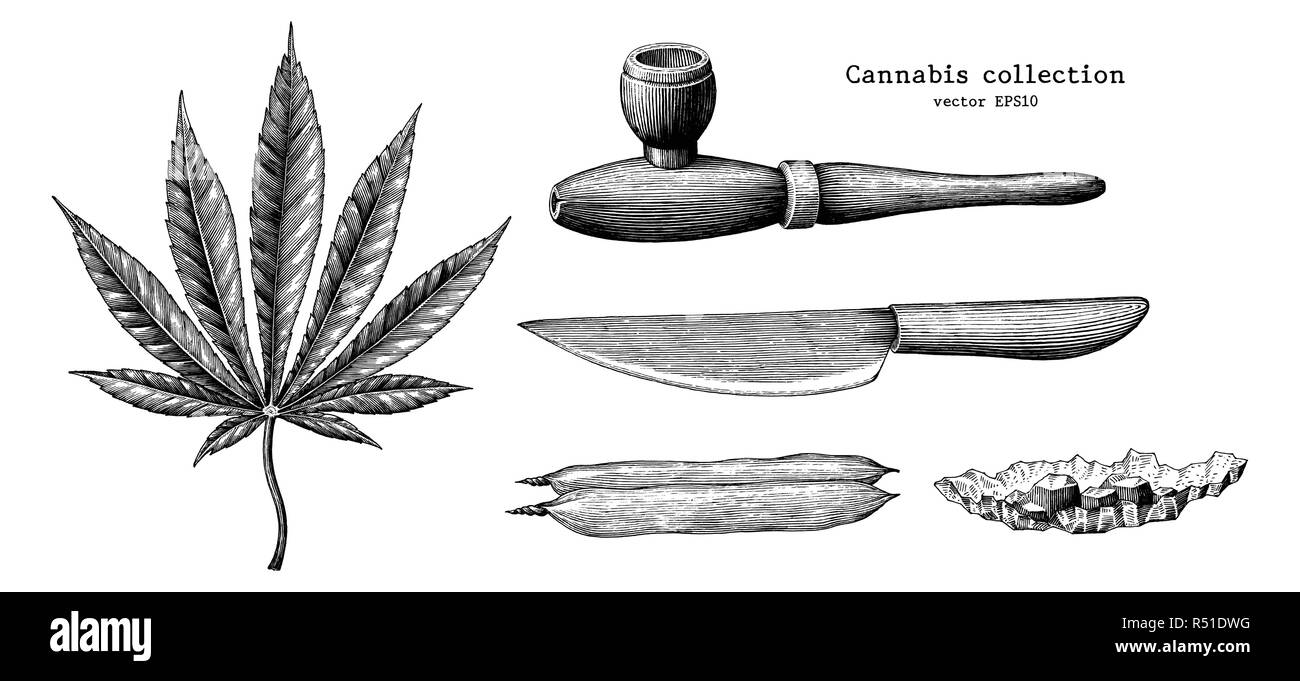 Collection de cannabis part attirer vintage clip art isolé sur fond blanc Illustration de Vecteur