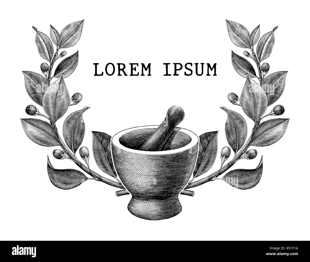 Mortier et pilon avec des herbes frame vintage logo gravure illustration isolé sur fond blanc,logo de pharmacie et de médecine Illustration de Vecteur