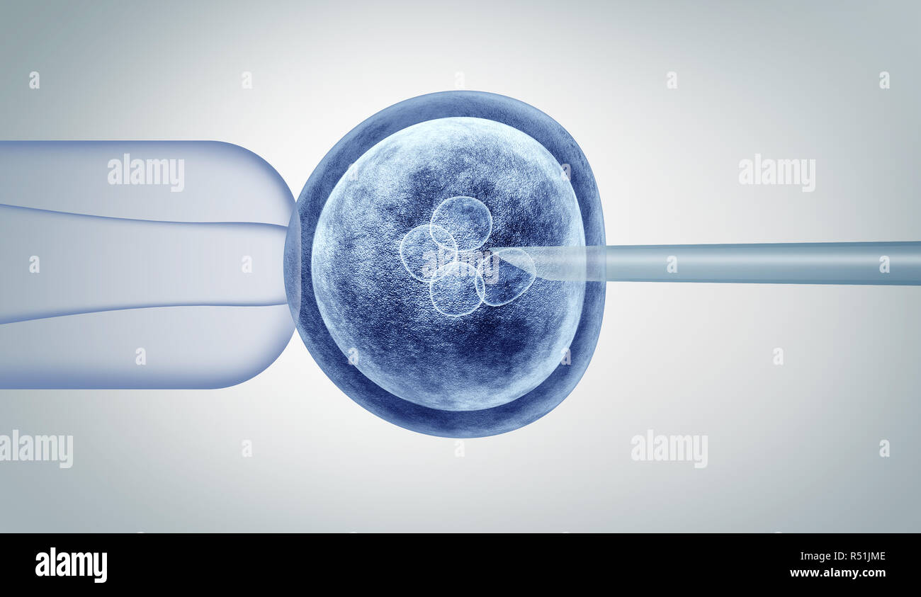 La modification génétique et la recherche sur les gènes du génome humain in vitro CRISPR biotechnologie médicale ingénierie concept de soins de santé avec un oeuf humain fécondé embryon. Banque D'Images